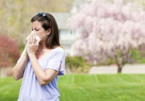 Hay Fever Treatment Seattle