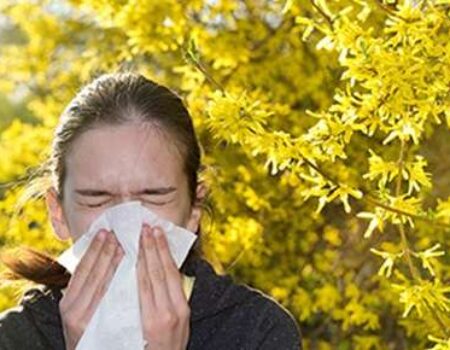 Allergy Management and Your Eyes