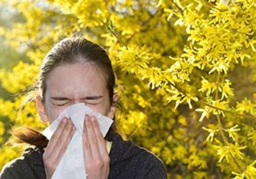 Allergy Management and Your Eyes