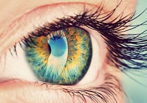 The Science Behind Perfect Eyesight